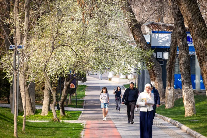 Toshkent uyg‘onmoqda: Poytaxtdagi bahor — suratlarda