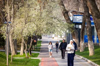 Toshkent uyg‘onmoqda: Poytaxtdagi bahor — suratlarda