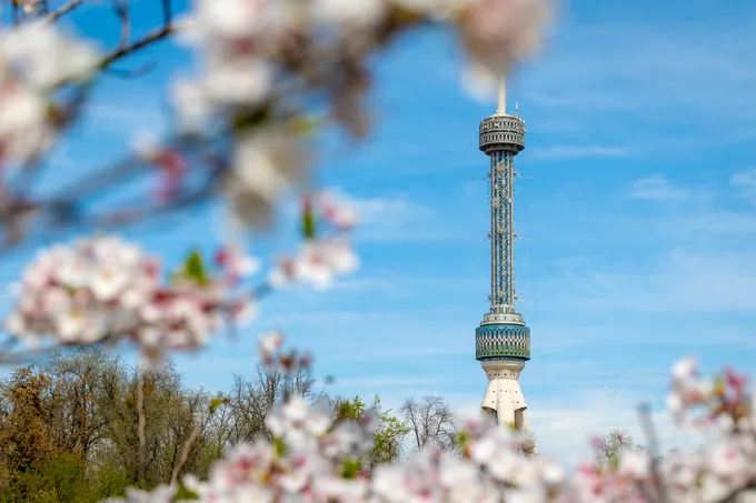 Весенняя эстетика: как выглядит Японский сад в Ташкенте 2026