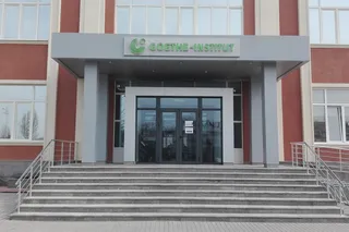 Фестиваль QizGap