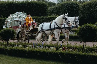 Царевна-лягушка 2