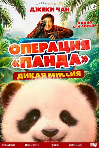 Операция «Панда». Дикая миссия