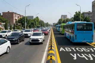 В Ташкенте автобусные полосы отделят специальными ограждениями