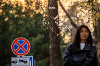 Теплая весенняя неделя: температура поднимется до +21°