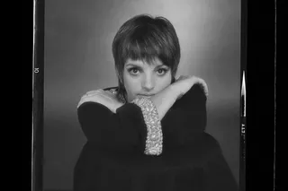 Лайза: Поистине потрясающая, абсолютно правдивая история