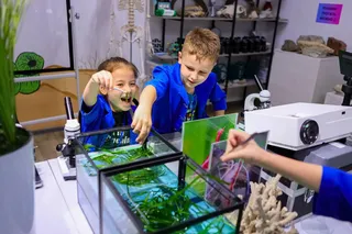 Научная программа «Женщины, изменившие мир»