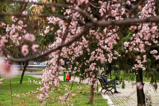 Тепло без дождей: на выходных ожидается до +15°