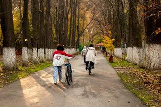 В Ботаническом саду Ташкента запретят велосипеды и самокаты