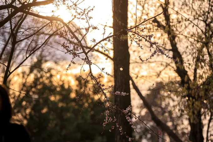 К 8 марта в столице потеплеет до +20°