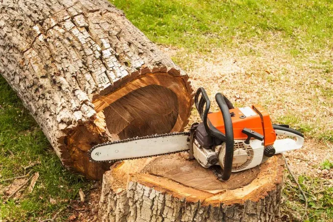 В Узбекистане расширят полномочия сотрудников МВД