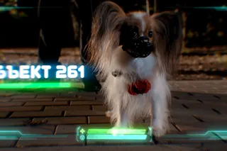 Летом всякое бывает. Побег из Сколбора