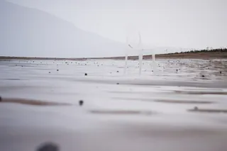 Два стула