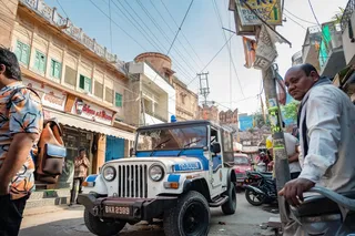 Королёк моей любви