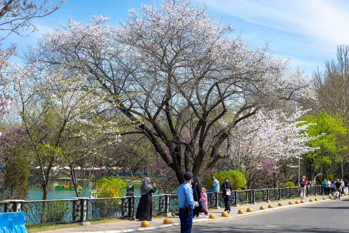Жара до +29° сменится дождями в столице на неделе