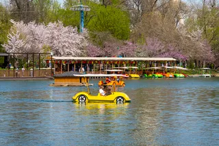 Куда пойти на выходных в Ташкенте, 4 и 5 апреля