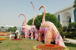 Tashkent Flowers Fest 2026