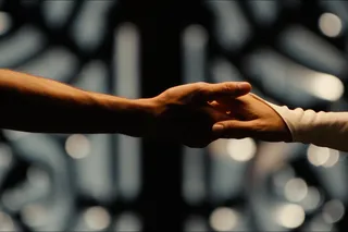 Мандариния – страна чудес