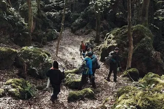 Хищник. Спуск в преисподнюю