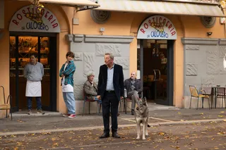 Семья на мою голову