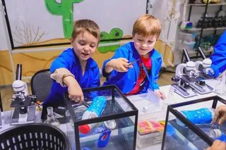 Научная программа «Экология»