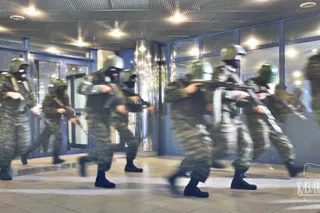 Волчий след