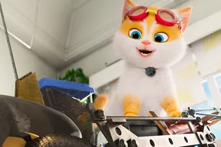 Большой кошачий побег