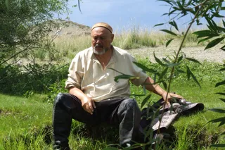 Кунанбай