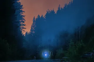Лес