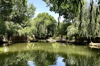 Арт-встреча в Lago Park