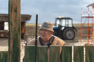 На деревню дедушке 2