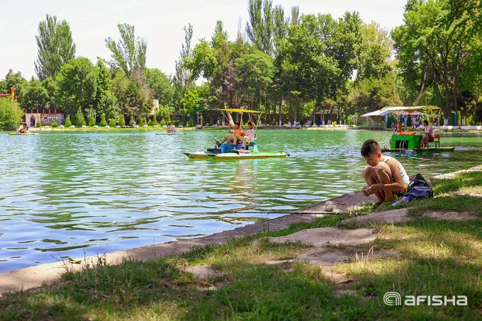 Toshkentda hafta davomida havo harorati pasayib boradi