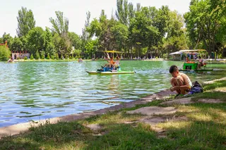 Toshkentda hafta davomida havo harorati pasayib boradi