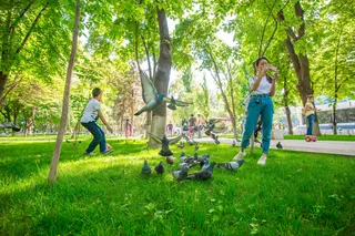 Куда пойти на выходных в Ташкенте, 15 и 16 августа