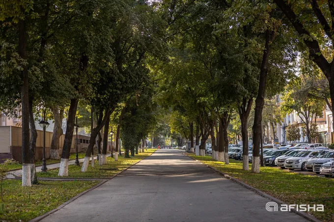 O‘zbekistonda sentabr oyida ob-havo qanday bo‘ladi?