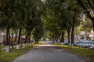 O‘zbekistonda sentabr oyida ob-havo qanday bo‘ladi?