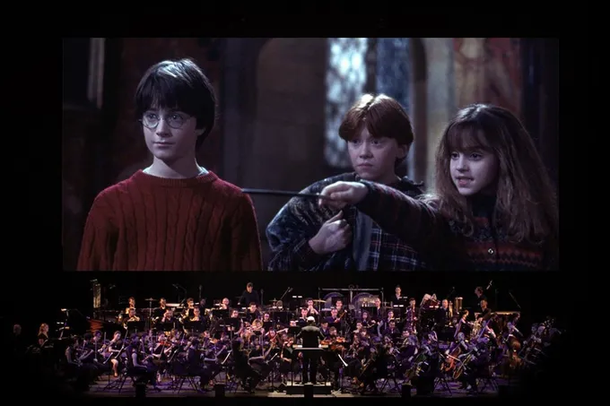 Концерт Harry Potter and wizards of Tynda Music