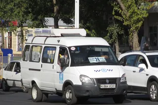 Toshkentda yangi 29M yo‘nalishli taksi qatnovi yo‘lga qo‘yiladi