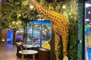 Дино парти в Jungle Family Club
